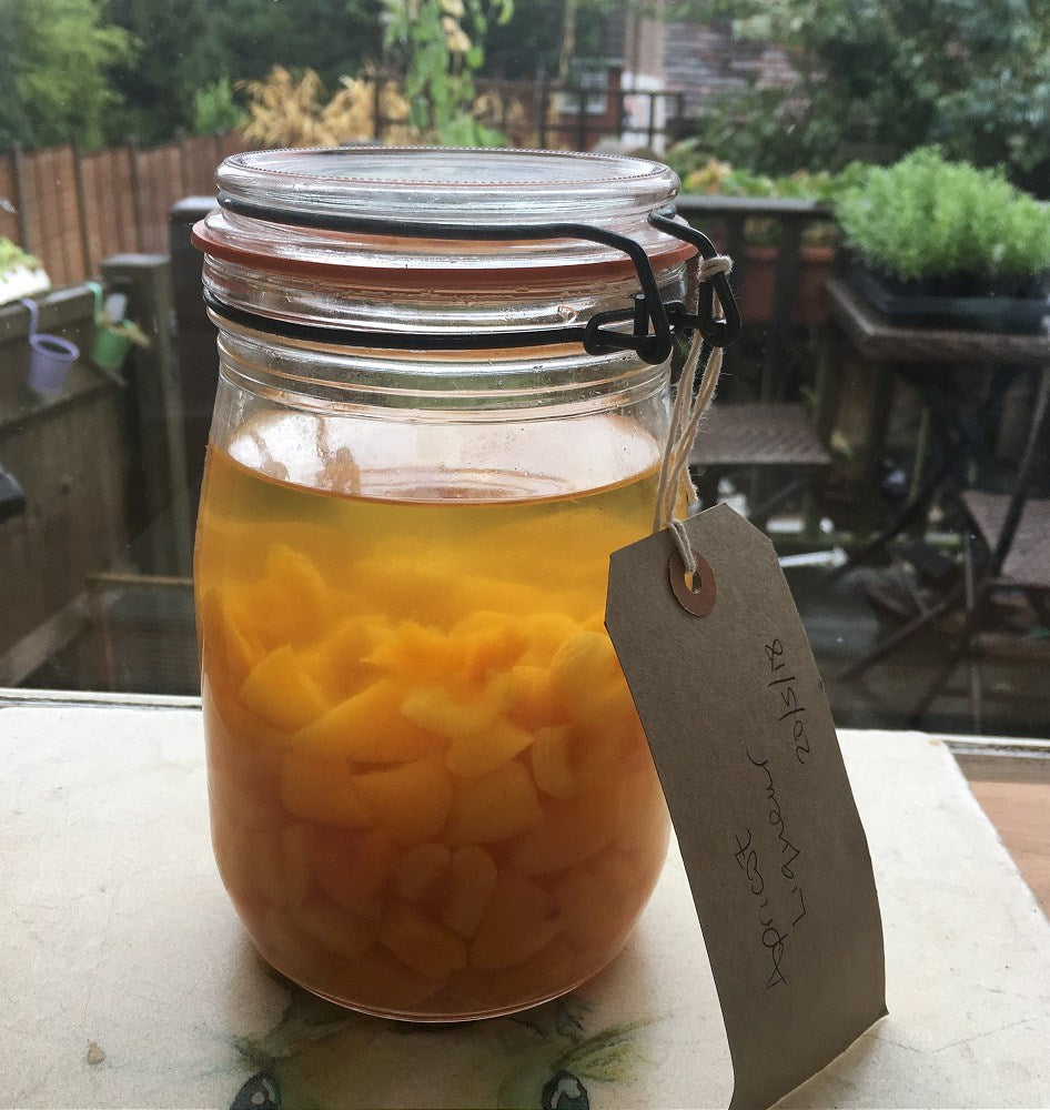 Homemade Apricot Liqueur Almost Off Grid