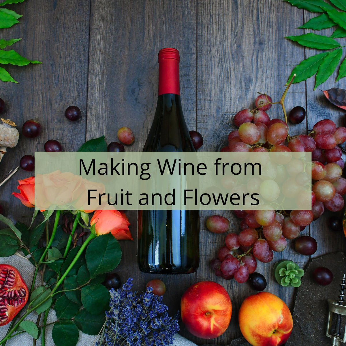Beginners Guide to Making Wine from Fruit and Flowers
