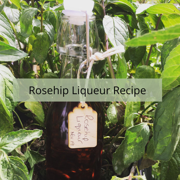 Rosehip Vodka Liqueur aka Rosehip Schnapps