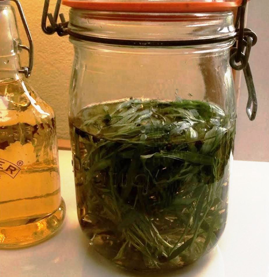 Making Tarragon Vinegar at home Almost Off Grid