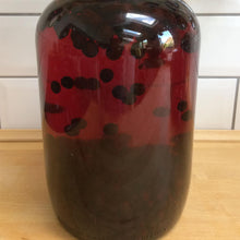 Load image into Gallery viewer, Almost Off Grid Sloe Gin and Sloe Port Kit (Solid) - Almost Off Grid