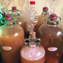 Load image into Gallery viewer, Winemaker's Set of 3 Yeast plus Nutrient (100g), Pectolase (30g) and Campden Tablets (100) - Almost Off Grid