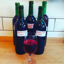Load image into Gallery viewer, Deluxe 6 bottle Wine Starter Kit, Demijohn, Hydrometer - Almost Off Grid