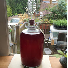Load image into Gallery viewer, Dried Active Yeast & Yeast Nutrient Pouches Almost Off Grid