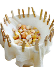 Load image into Gallery viewer, Fruit Wine Beginner Standard Starter Kit 2x 5l Fermenters