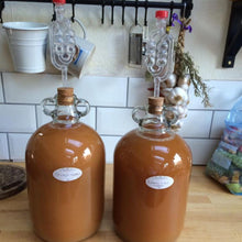 Load image into Gallery viewer, 5 Litre Fermentation Buckets with Lids Grommets and Airlocks x2 and 100g VWP - Almost Off Grid