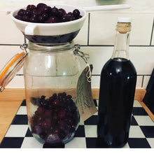 Load image into Gallery viewer, Sloe Gin and Sloe Port Kit (no bucket) - Almost Off Grid