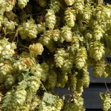 Load image into Gallery viewer, Calcium Sulphate Gypsum - 100g Almost Off Grid - Almost Off Grid