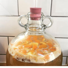 Load image into Gallery viewer, 5 Litre Homebrew Bucket with bubbler airlock and thermometer strip - Almost Off Grid