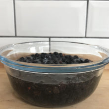 Load image into Gallery viewer, Sloe Gin Kit with Liqueurs Journal (no bucket) - Almost Off Grid