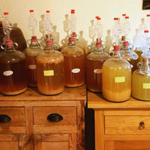 Load image into Gallery viewer, Gervin GV13 Cider Yeast (5g) - Almost Off Grid