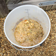 Load image into Gallery viewer, Gervin GV13 Cider Yeast (5g) - Almost Off Grid