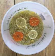 Load image into Gallery viewer, Elderflower Cordial Set