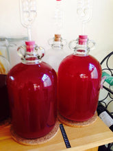 Load image into Gallery viewer, Dried Active Yeast & Yeast Nutrient Pouches Almost Off Grid