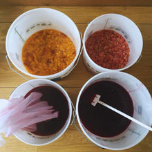 Load image into Gallery viewer, 6 bottle Wine Making Kit, Bucket, Recipe Book, 4 Yeasts, Labels - Almost Off Grid