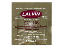 Load image into Gallery viewer, ALMOST OFF GRID Deluxe Sparkling Elderflower Champagne Starter Kit (with bottles) - Almost Off Grid