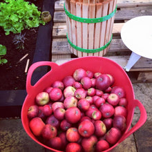 Load image into Gallery viewer, Almost Off Grid Cider Making Journal - Almost Off Grid