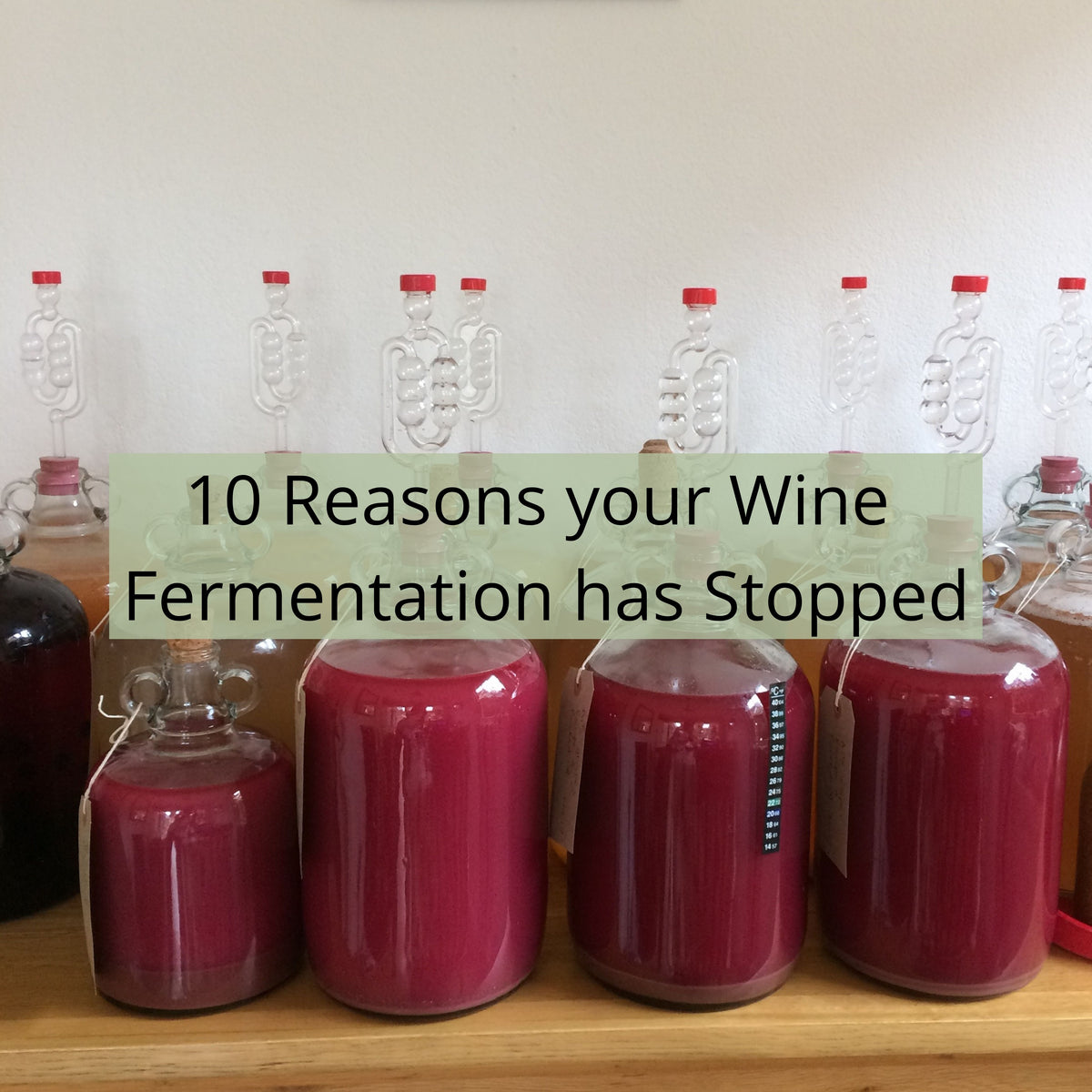 10 Reasons Your Home Brew Fermentation May Have Stopped Checklist