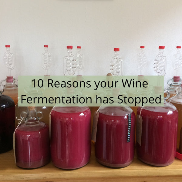 10 Reasons Your Home Brew Fermentation May Have Stopped - Checklist