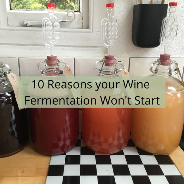 10 Reasons Why Your Wine Fermentation Won't Start - Checklist