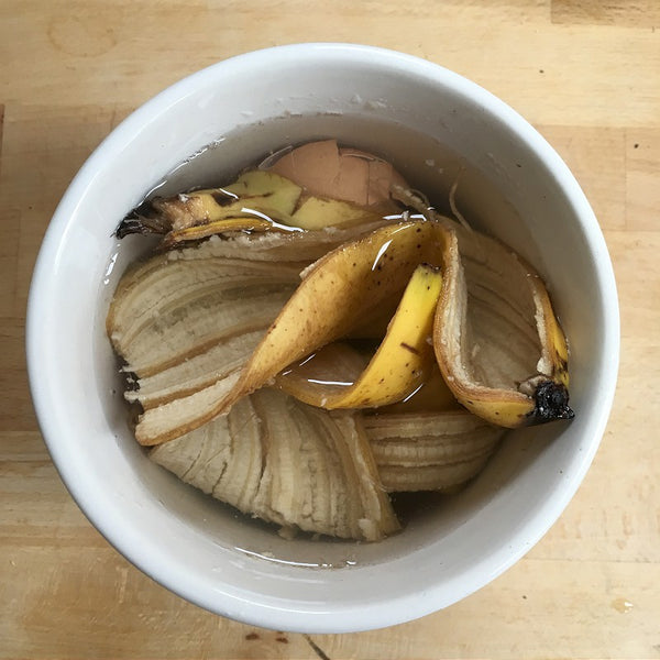 Making Houseplant Tea with Eggshells and Banana Skins, and why you should.