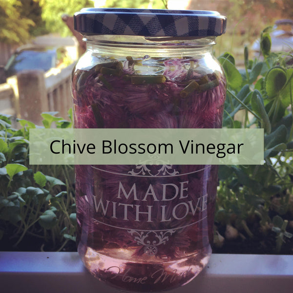 Make Your Own Chive Blossom Vinegar