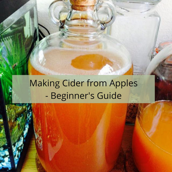 Making Cider from Apples