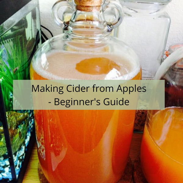 A Beginner's Guide to Making Cider from Apples