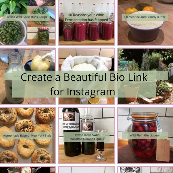 Create a Beautiful Bio Link for Instagram