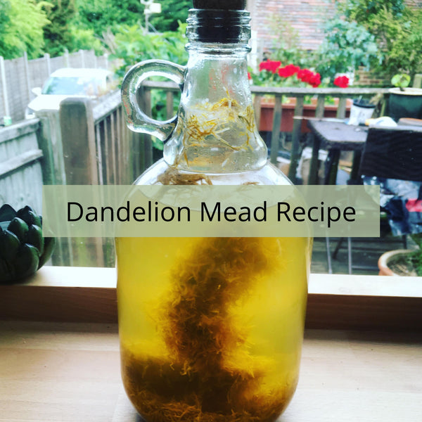 Small Batch Dandelion Mead Recipe