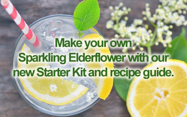 Elderflower Champagne Recipe