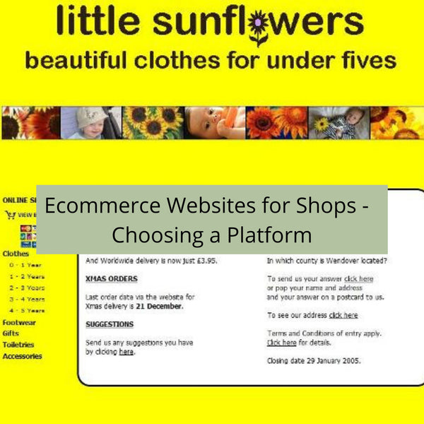 ECommerce Websites for Shops: Choosing a Platform and Developer
