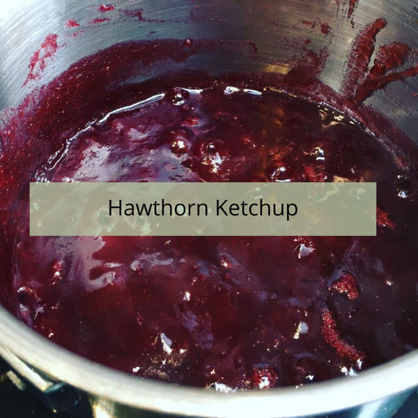 Hawthorn Berry Ketchup