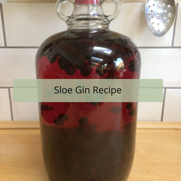 Make your own Sloe Gin