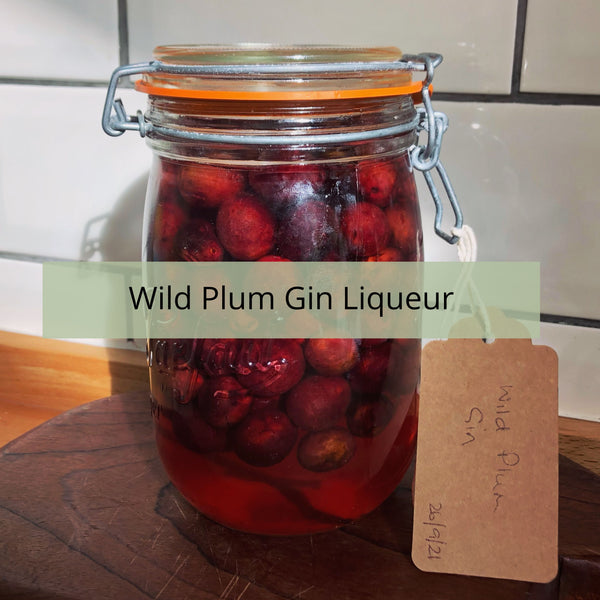 Wild Plum Gin Liqueur Recipe