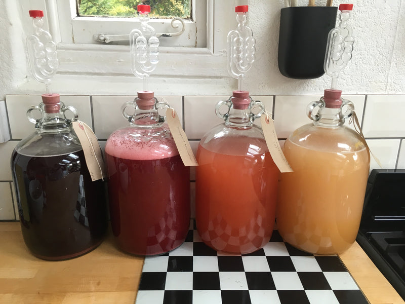 Glass Demijohns and where to find them