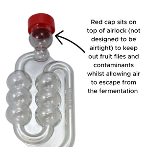 Cider Yeast, Airlock, Thermometer Set - Almost Off Grid