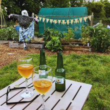 Load image into Gallery viewer, Almost Off Grid 10 litre Cider Kit plus 2 demijohns
