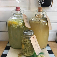 Load image into Gallery viewer, ALMOST OFF GRID Deluxe Sparkling Elderflower Champagne Starter Kit (with bottles) - Almost Off Grid
