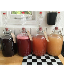 Load image into Gallery viewer, Cider Yeast, Airlock, Thermometer Set - Almost Off Grid
