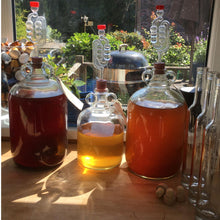 Load image into Gallery viewer, Dried Active Yeast &amp; Yeast Nutrient Pouches Almost Off Grid
