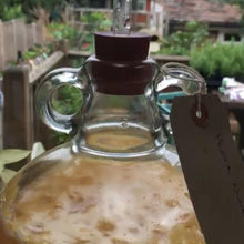 Load image into Gallery viewer, Almost Off Grid 10 litre Cider Kit plus 2 demijohns - Almost Off Grid
