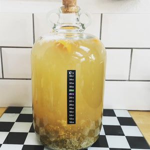 ALMOST OFF GRID Mini Cider Making Kit - Almost Off Grid