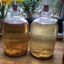 Load image into Gallery viewer, Dried Active Yeast &amp; Yeast Nutrient Pouches Almost Off Grid
