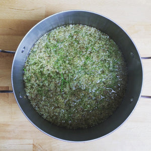 Elderflower Cordial Set
