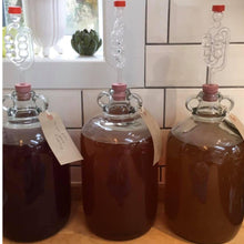 Load image into Gallery viewer, Dried Active Yeast &amp; Yeast Nutrient Pouches Almost Off Grid
