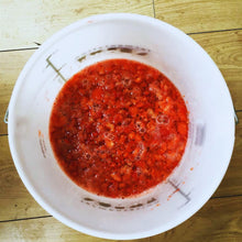 Load image into Gallery viewer, 5 Litre Fermentation Bucket with Solid Lid Almost Off Grid
