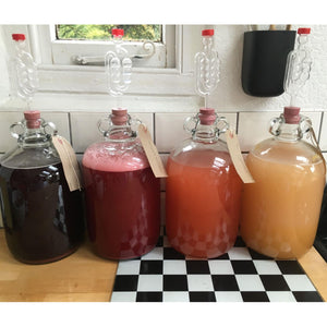 5 Litre Fermentation Bucket with Lid, grommet and airlock