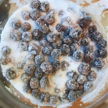 Load image into Gallery viewer, Sloe Gin and Sloe Port Kit with 2.5 litre bucket - Almost Off Grid

