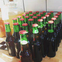Load image into Gallery viewer, Mangrove Jack&#39;s M24 Versa Lager Yeast 10g sachet - Almost Off Grid
